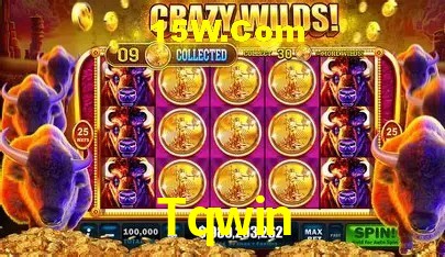 Tqwin Brasília - Betting Features