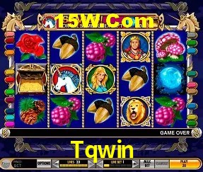 Tqwin Entrar - Login Seguro Certificado